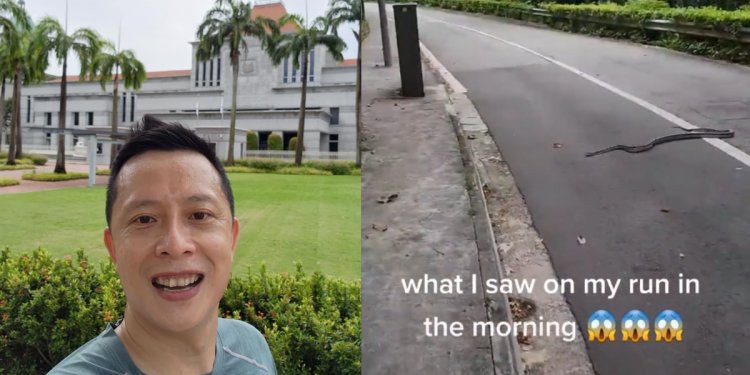 PAP MP encounters long and fast snake during morning jog near Catholic Junior College