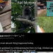 Prozac Monkey: Monkey in Singapore’s Botanic Gardens grabs student’s anti-depressants, eats two, then throws it back